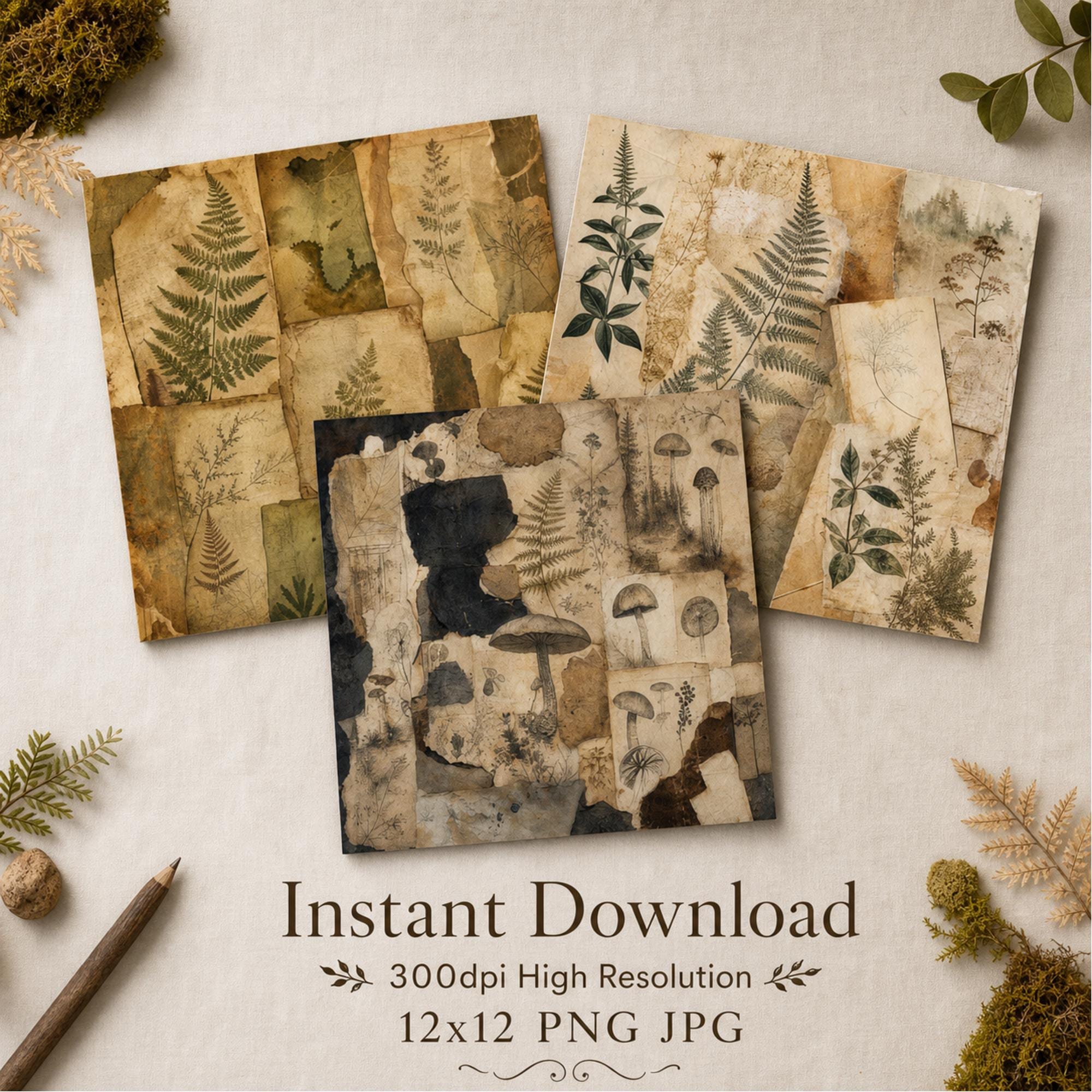 Digital Paper, Collage Paper Pack, Botanical Archive, Junk Journal, Vintage Digital Papers, Dark Academia Paper Pack,  12x12, 300dpi